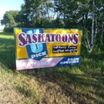 SaskatoonBerryManitoba